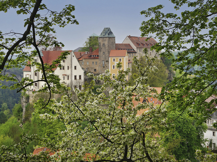 Blick auf Burg Hohnstein hinter blühenden Bäumen im Frühling.