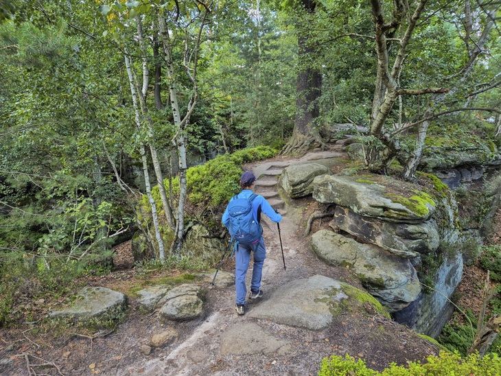 Person wandert auf einem felsigen Weg im Wald.