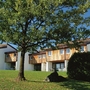 Reihenhäuser mit Holzfassade und Baum davor auf einer Wiese.