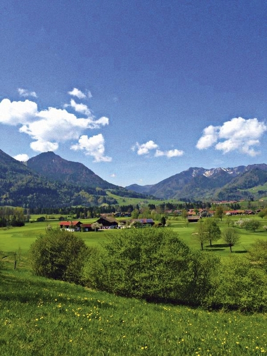 Landschaft bei Inzell mit Bergen und Wiesen unter blauem Himmel.