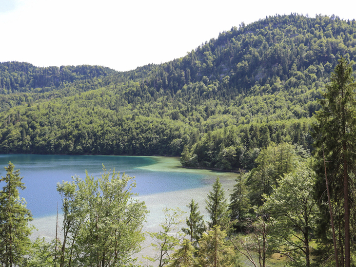 Waldlandschaft mit See und Hügeln am Bayerischen Jakobsweg.