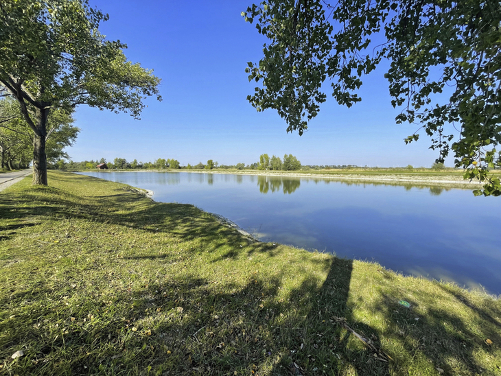 Blick auf einen See mit grasbewachsenem Ufer und Bäumen bei klarem Himmel.