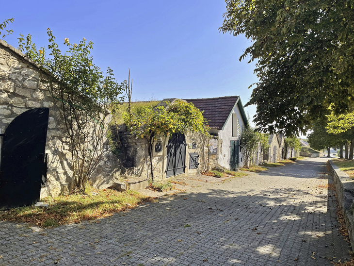 Gepflasterter Weg durch historische Kellergasse mit Steinmauern und Holzfenstern