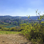 Landschaftsausblick bei Pistoia mit Feldern und Hügeln unter klarem Himmel