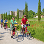 Radfahrer auf einem Weg neben einem Mohnblumenfeld, Burg im Hintergrund.