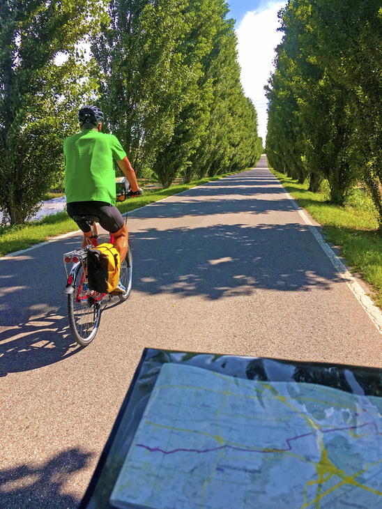 Radfahrer auf baumgesäumtem Weg mit Karte im Vordergrund.