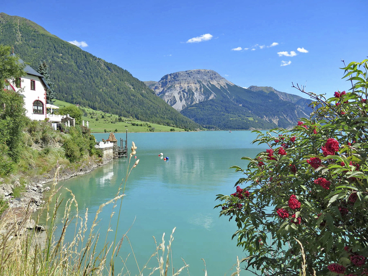 Blick auf den Reschensee mit Berglandschaft im Hintergrund und Blumen im Vordergrund.