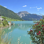 Blick auf den Reschensee mit Berglandschaft im Hintergrund und Blumen im Vordergrund.