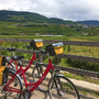 Zwei Fahrräder vor malerischer Landschaft am Etsch-Radweg in Südtirol.