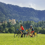 Radfahrer auf Wiese vor Hohenschwangau, Wald und Berge im Hintergrund