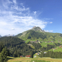 Alpenlandschaft mit Wiesen, Bäumen und Bergen unter blauem Himmel