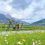 Blumenwiese Lienz