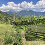 Weinberge und Apfelhaine in Südtirol mit Bergblick und Wolkenhimmel.