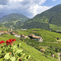Blick auf Südtiroler Landschaft mit Weinbergen und Dorf im Tal.