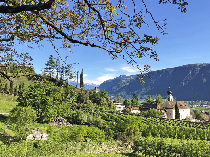 Landschaftsansicht mit Kirche, Weinbergen und Bergen im Hintergrund in Südtirol.