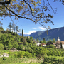 Landschaftsansicht mit Kirche, Weinbergen und Bergen im Hintergrund in Südtirol.