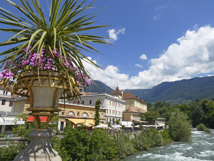 Blick auf Fluss und Gebäude in Meran mit Blumen im Vordergrund.