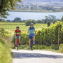 Zwei Radfahrer auf einem Weg am Kalterer See in Südtirol.