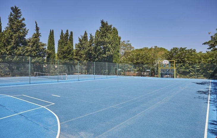 Blauer Outdoor-Sportplatz mit Basketballkorb, umgeben von Bäumen.
