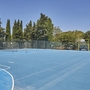 Blauer Outdoor-Sportplatz mit Basketballkorb, umgeben von Bäumen.