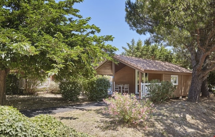 Ein kleiner Bungalow inmitten von Bäumen und Büschen bei Sonnenschein.
