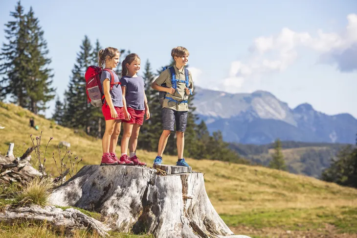 Kinder auf Baumstumpf in alpiner Landschaft mit Bergblick.