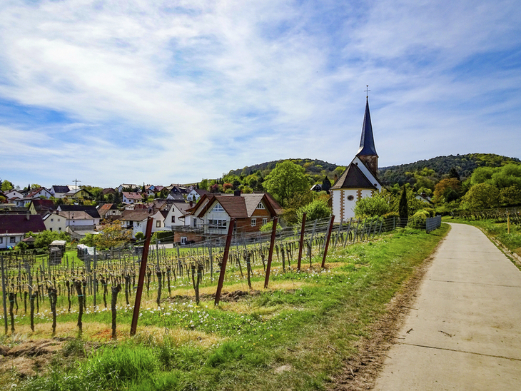 Radweg in Rechtenbach mit Kirche und Weinbergen im Hintergrund.