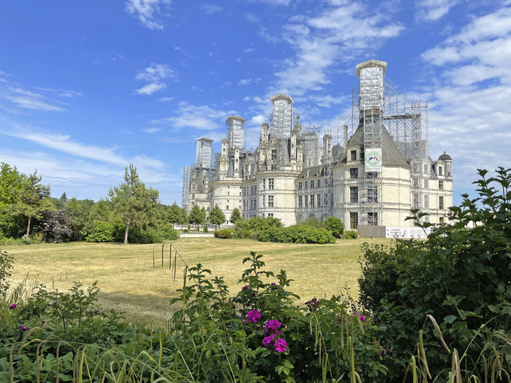 Blick auf das Schloss Chambord mit blühenden Sträuchern im Vordergrund.