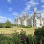 Blick auf das Schloss Chambord mit blühenden Sträuchern im Vordergrund.