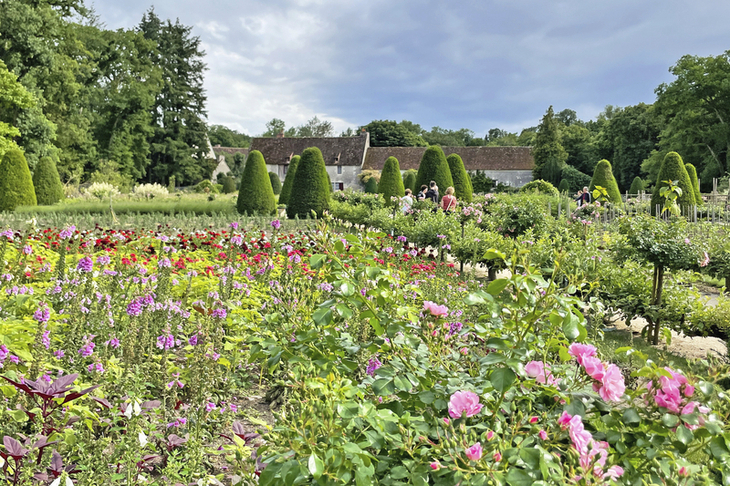 Blumenreicher Park des Schlosses Chenonceau mit Garten und Bäumen im Hintergrund.