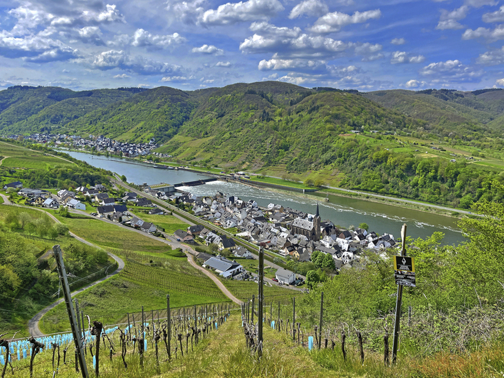 Blick auf Moseltal mit Weinbergen und Fluss, umliegende Hügel im Hintergrund.