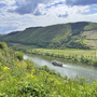 Flusslandschaft mit Schiff und Weinbergen am Moselsteig an einem bewölkten Tag.
