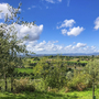 Landschaft in Umbrien mit Olivenbäumen und weitem Blick über grüne Felder.