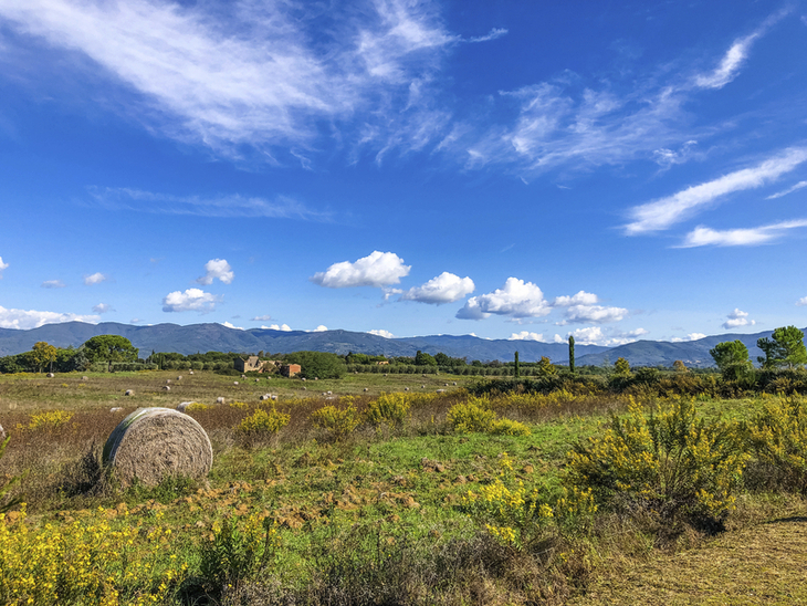 Landschaft in Umbrien mit Zypresse, Strohballen und Bergpanorama im Hintergrund.