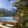 Holzbrunnen und Bäume am Ufer des klaren Gosausees in den österreichischen Alpen.