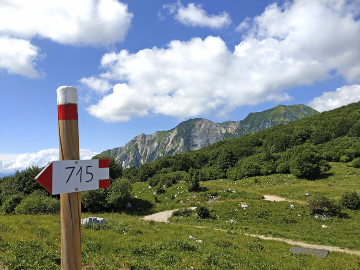 Wegweiser 715 vor Berglandschaft in den julischen Alpen bei Monte Cuarnan.
