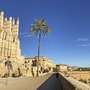 Kathedrale von Palma de Mallorca mit Palme und Küstenlinie im Vordergrund.