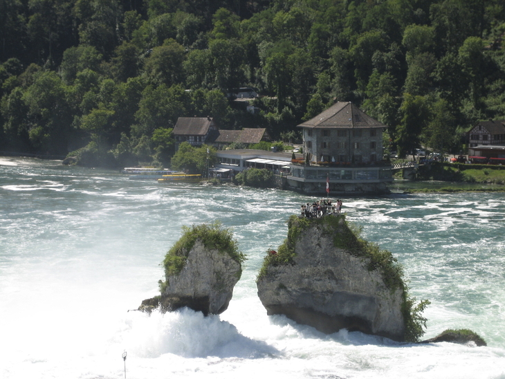 Rheinfall mit Felsen und bewaldetem Ufer im Hintergrund.