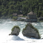 Rheinfall mit Felsen und bewaldetem Ufer im Hintergrund.