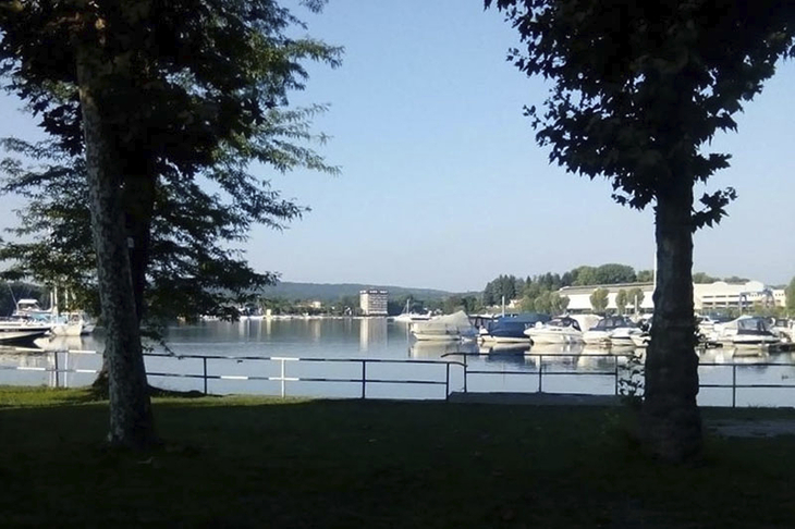 Blick auf einen Yachthafen mit Booten, eingerahmt von Bäumen.