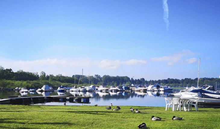 Boote auf einem See, Enten auf einer Wiese, im Hintergrund Bäume und blauer Himmel.