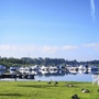 Boote auf einem See, Enten auf einer Wiese, im Hintergrund Bäume und blauer Himmel.