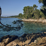 Küste mit Bäumen und klarem Wasser bei Malinska, Krk.