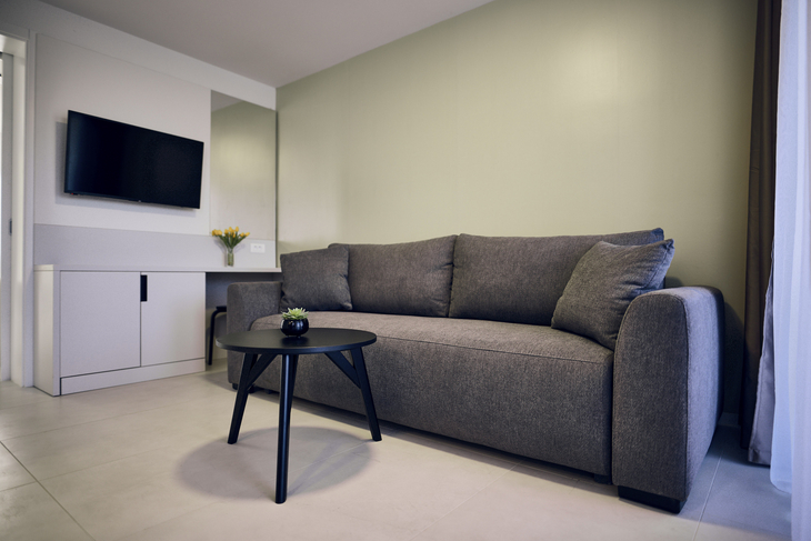 Wohnzimmer mit grauem Sofa, Tisch, Fernseher und kleiner Küchenzeile.