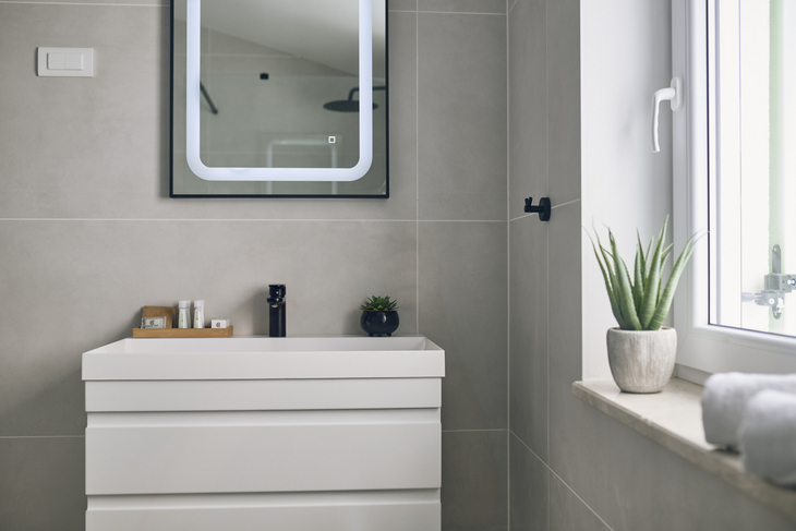 Modernes Badezimmer mit Waschbecken, Spiegel und Pflanzen auf der Fensterbank.