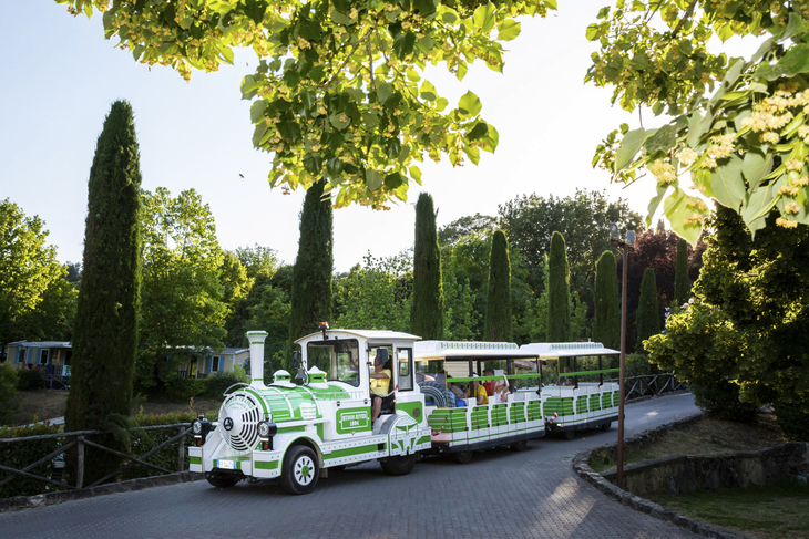 Kleiner Touristenzug fährt durch grüne Landschaft mit Bäumen und sonnigem Himmel.