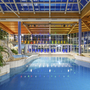 Innenansicht eines Hotelpools mit Glasdach und Pflanzen im Schöneck Hotel und Ferienpark.