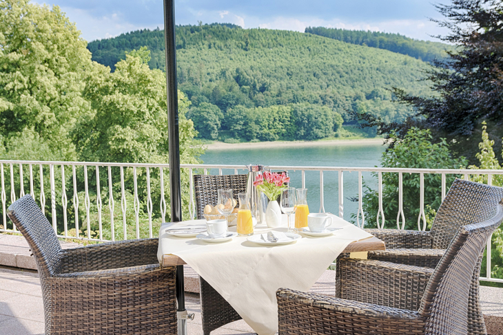 Gedeckter Tisch auf Terrasse mit Seeblick und Wald im Hintergrund.