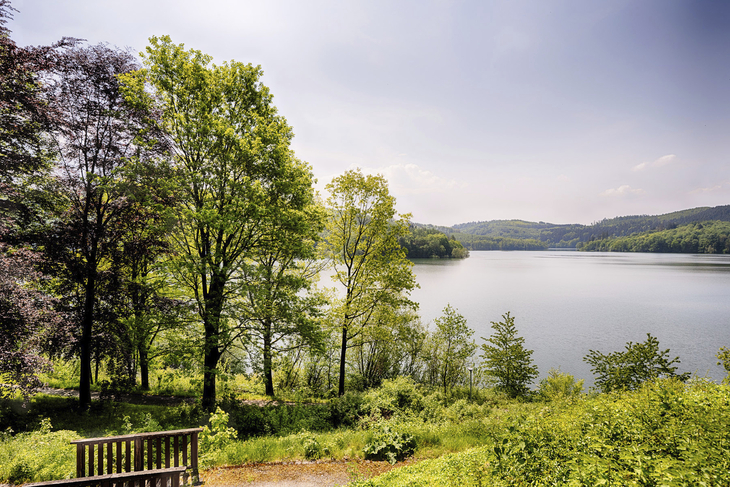 Blick auf einen See mit Bäumen und einer Bank im Vordergrund.