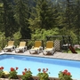 Pool mit Liegestühlen und Blumen vor einem Waldhintergrund.
